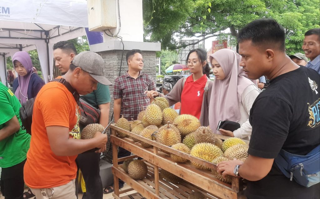 Pengunjung Festival Durian Kenduren sedang memilih durian yang akan dibeli